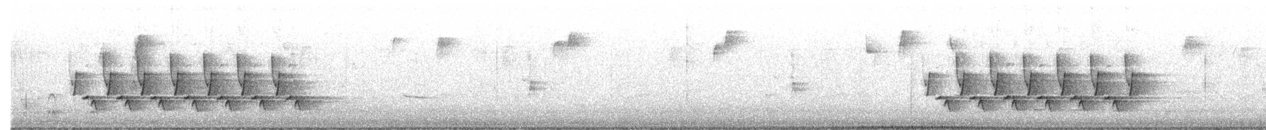 チャバラマユミソサザイ - ML400078391