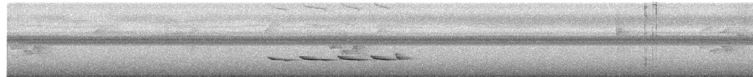 Recurve-billed Bushbird - ML400177231