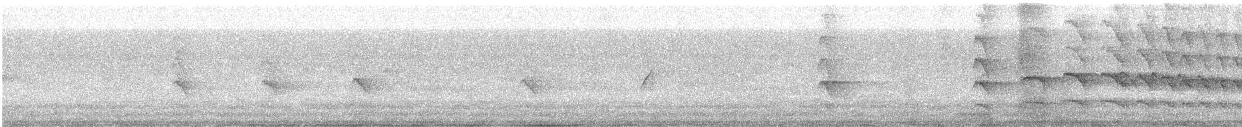 Индийский перепелятник - ML400217641