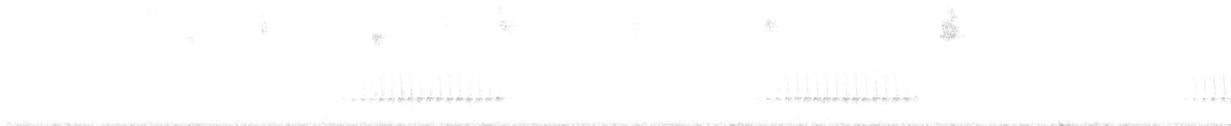 Flat-billed Vireo - ML400352941