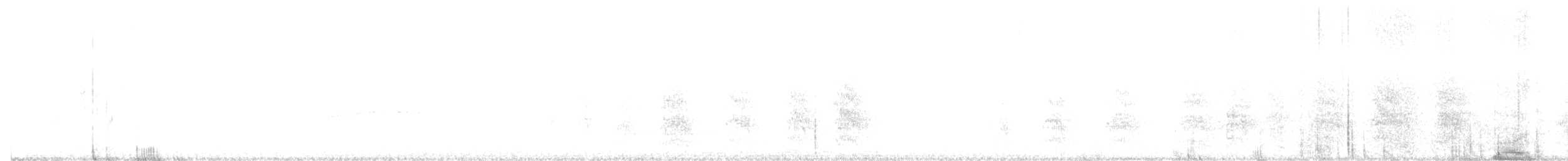 aratinga jamajský (ssp. nana) - ML400354201