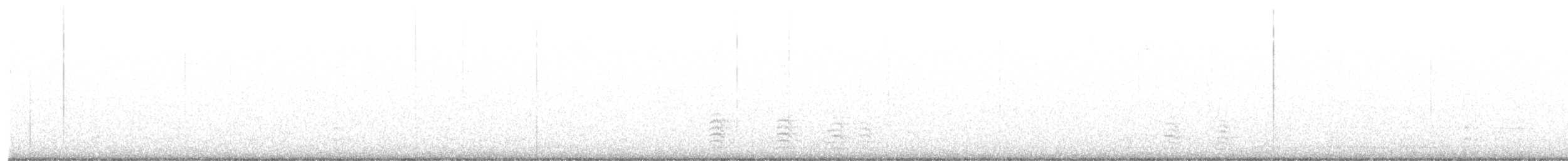 Weißbrustkleiber - ML400355291