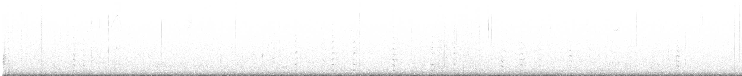 Weißbrustkleiber - ML400355601