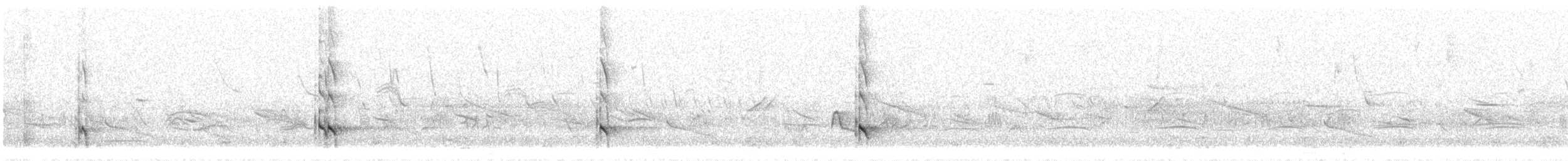 caatingaspett - ML400397011