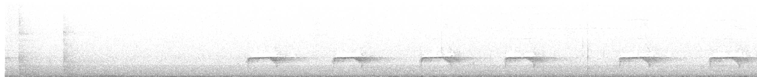 Schmalspiegel-Nachtschwalbe - ML400589181