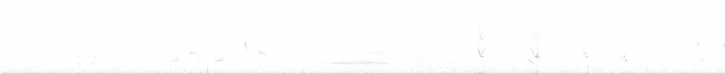 Rotsteiß-Spottdrossel - ML40064271