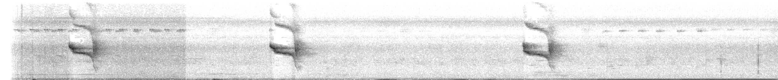 Social Flycatcher - ML400746511