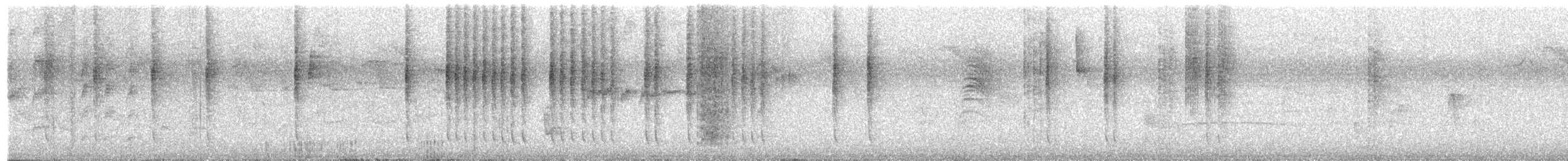 Braunschwanzamazilie - ML400758531