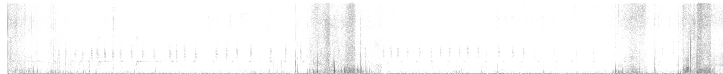hvitbrynsvartspett - ML400853501