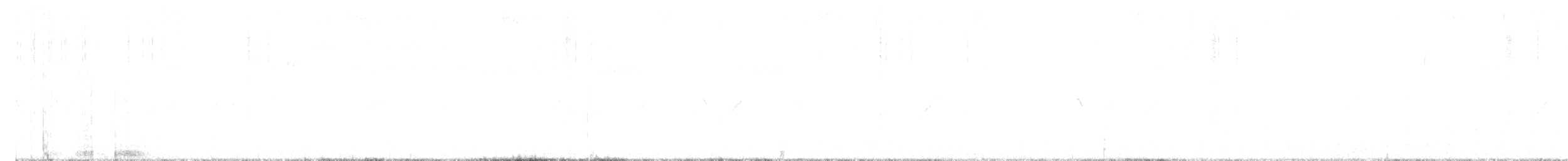 hvitbrynsvartspett - ML400853521