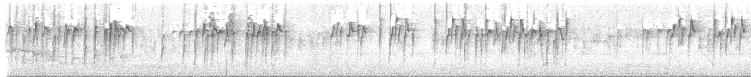 Goldhähnchen-Dornschnabel - ML400860191