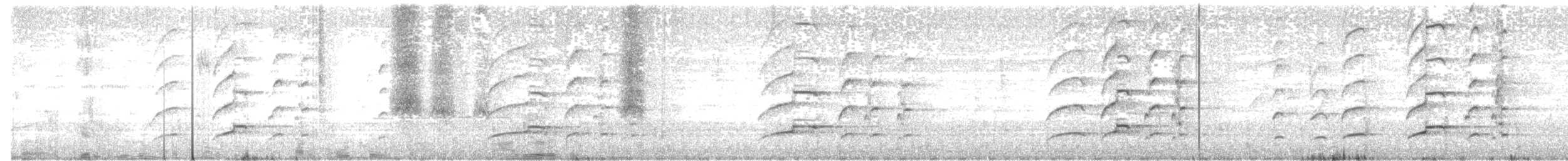 Değişken Atmaca Kartalı (cirrhatus/ceylanensis) - ML400971431