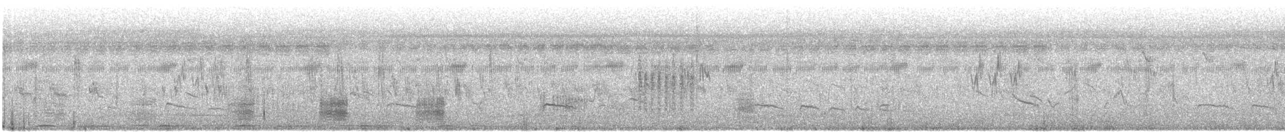 ברווז עקוד-מקור הודי - ML401036981