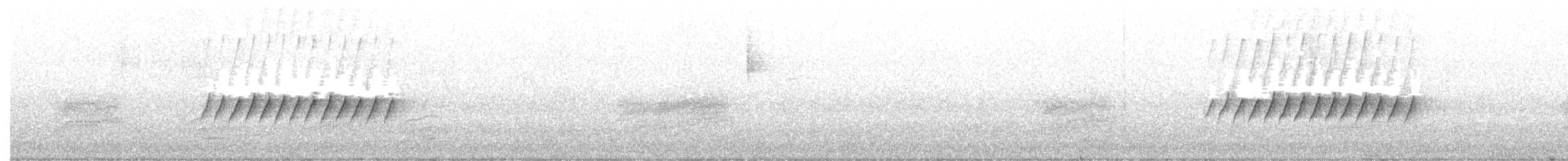 Юнко сірий [група oreganus] - ML401204091