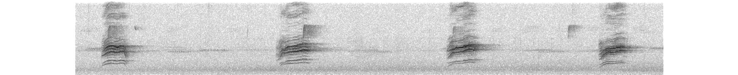 Дрізд-короткодзьоб плямистоволий - ML40122081