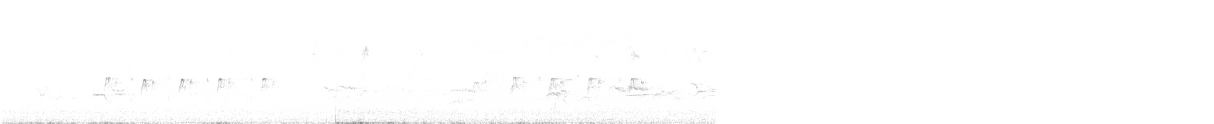 Des Murs's Wiretail - ML401239641