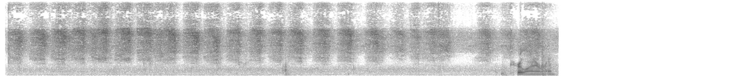 Karolina Çıtkuşu - ML401328251