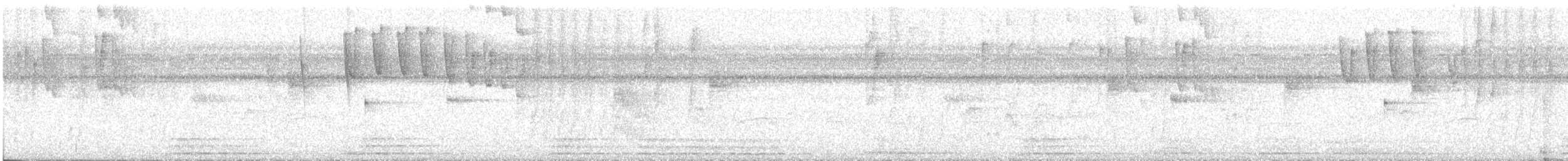 Бронзовый колибри-отшельник - ML401384771