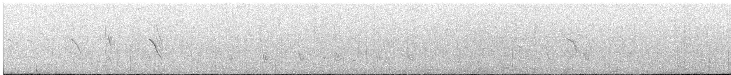 Cisticole paresseuse - ML401409141