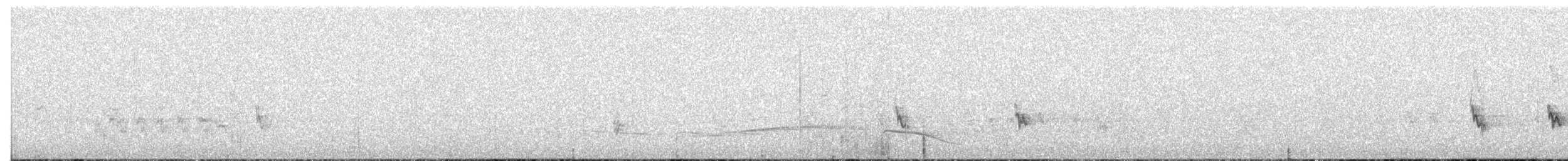 Kapsteinsperling - ML401410321