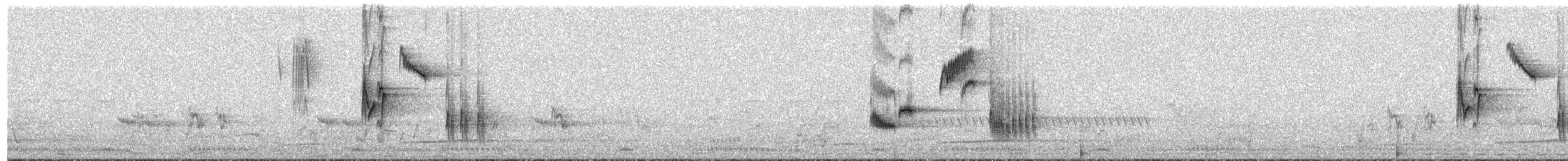 Güneyli Drongo Sinekkapanı - ML401450891