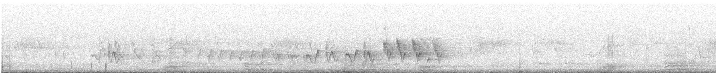 Kanarya Adaları İspinozu (canariensis/ombriosa) - ML401491961