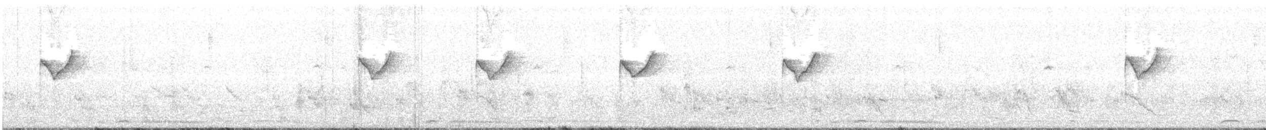 Yellow-browed Warbler - ML40153011