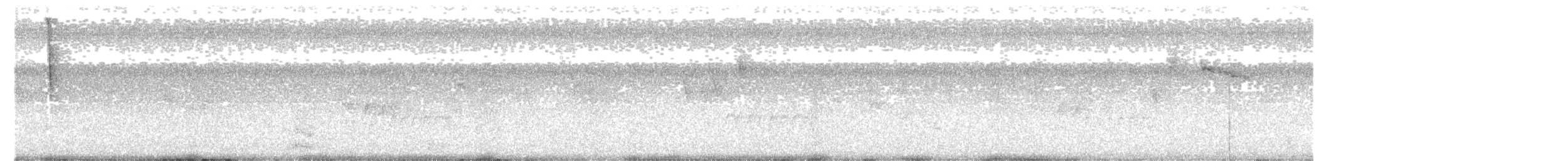 Grünbrust-Mangokolibri - ML401552501