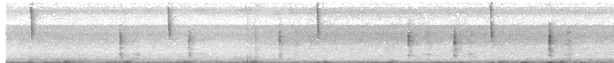 Grünbrust-Mangokolibri - ML401553141