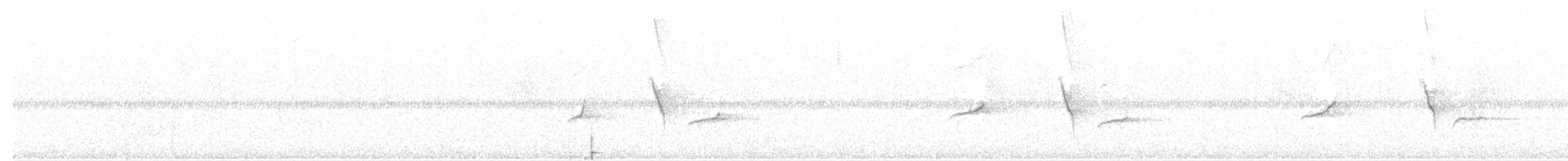 דרונגו עשנוני (מערבי) - ML40156391