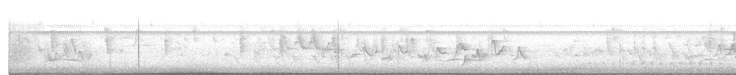 Warbling Vireo - ML401600181