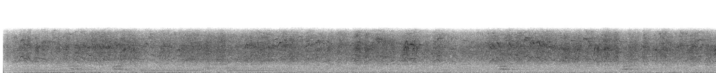 Brown-throated Parakeet - ML40162701