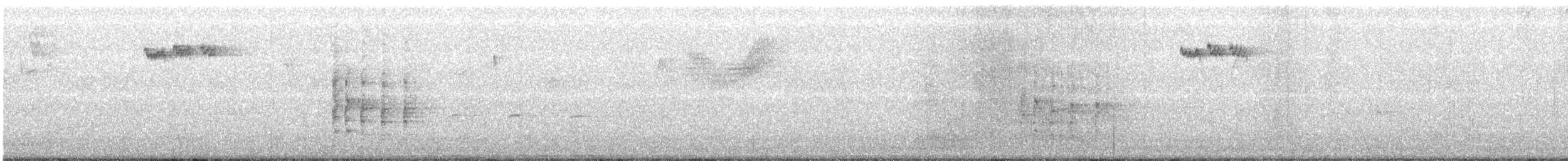 Virginia Rail - ML401700241
