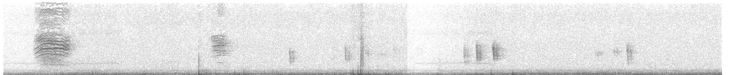 eremittskogtrost (guttatus gr.) - ML401702971