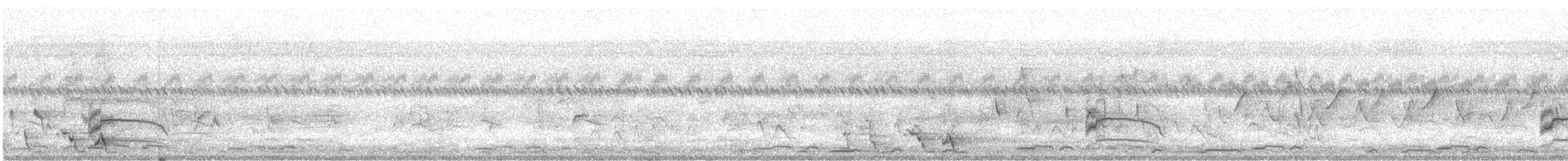 白眉秧雞 - ML401716831