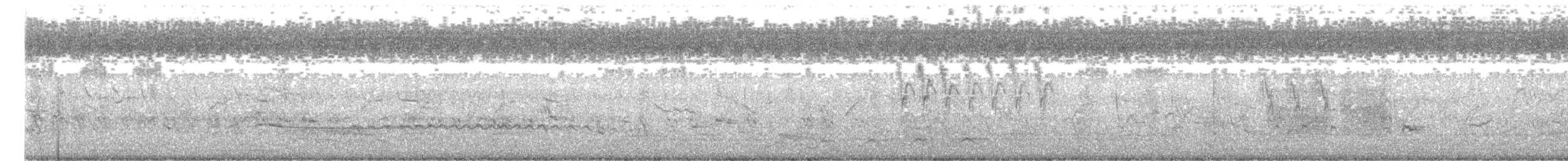 Ібіс сивоперий - ML401765381