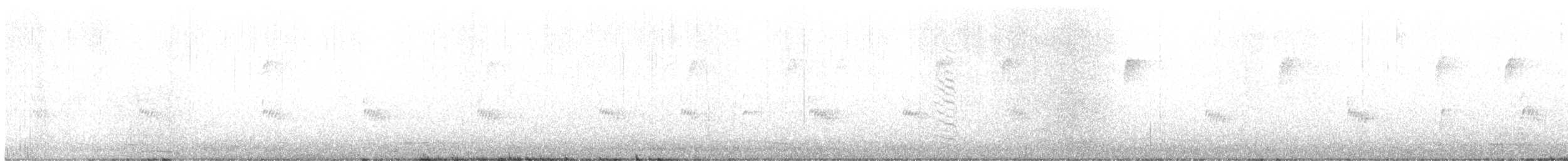 Carolina Wren - ML401784001