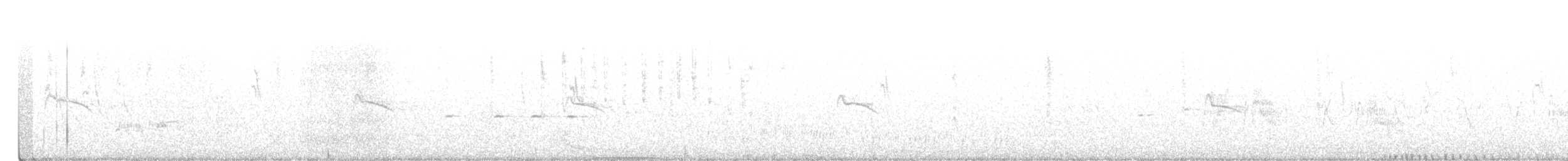 Ивовый мухолов - ML401793101
