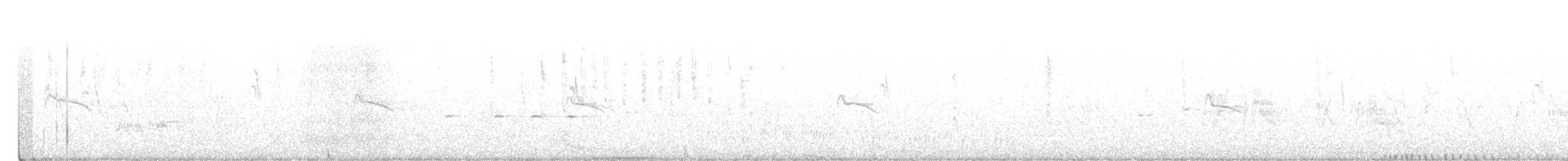 Willow Flycatcher - ML401793101