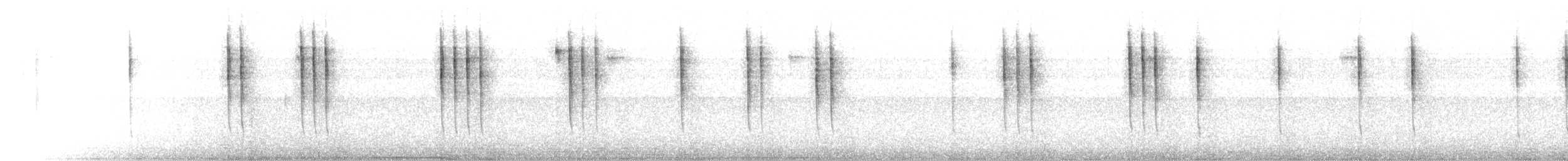 Colibri à oreilles blanches - ML401913511