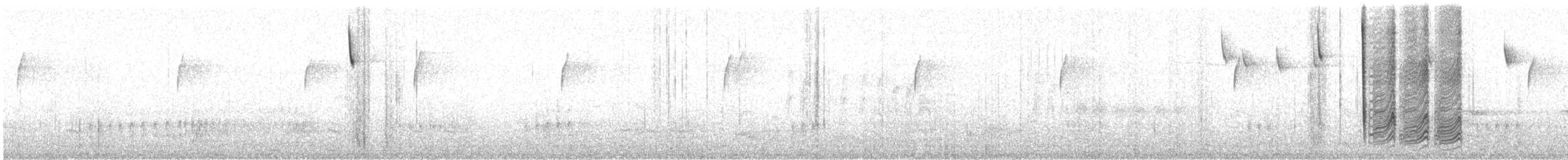 gråduskmeis - ML401941461