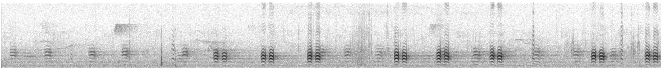 hvitbrystspettmeis - ML401941491