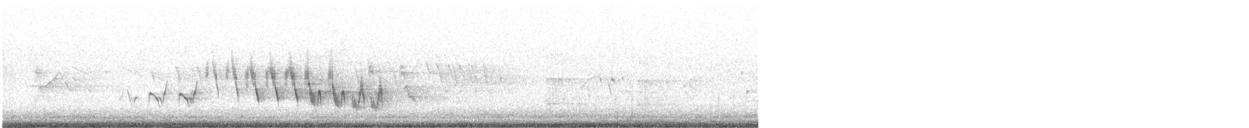 Kanarya Adaları İspinozu (canariensis/ombriosa) - ML401960131