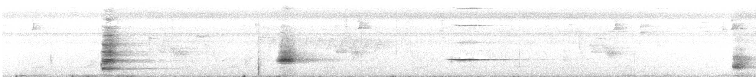 Araponga tricaronculé - ML402032941