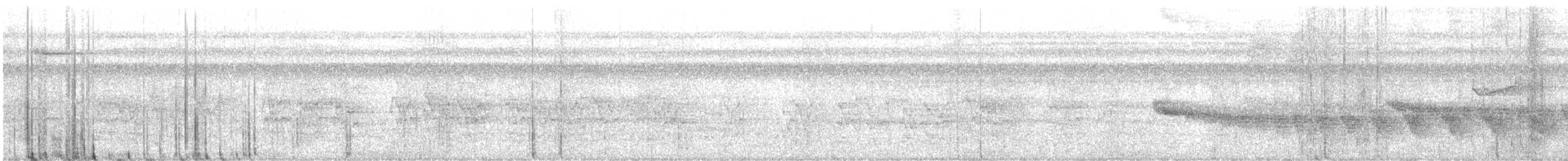 Grauband-Ameisenvogel - ML402107841