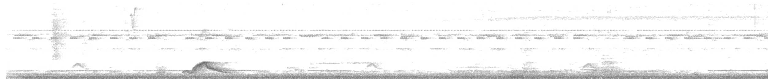 Pauraquenachtschwalbe - ML402152841