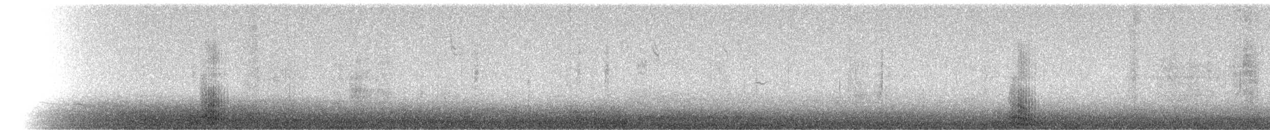 斑背潛鴨/小斑背潛鴨 - ML402172551