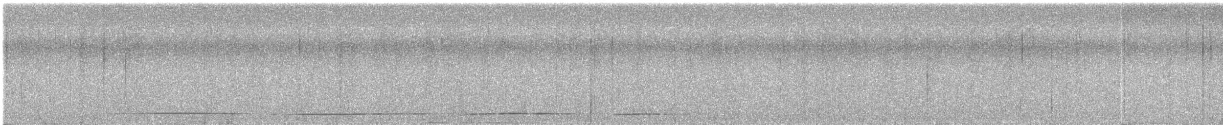 Tinamou noir - ML402182141