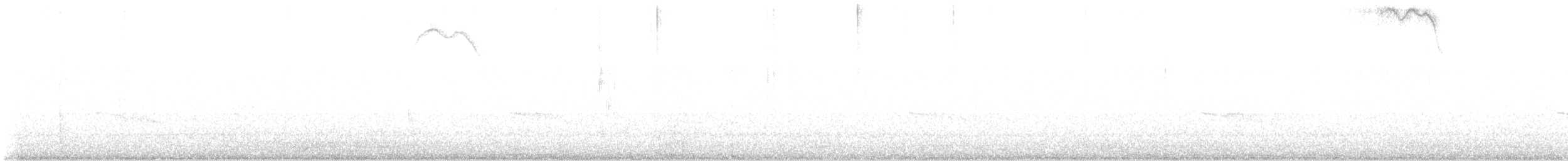 Breitspiegel-Nachtschwalbe - ML402188631