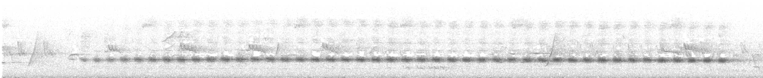Échenilleur cigale (groupe tenuirostre) - ML402189361